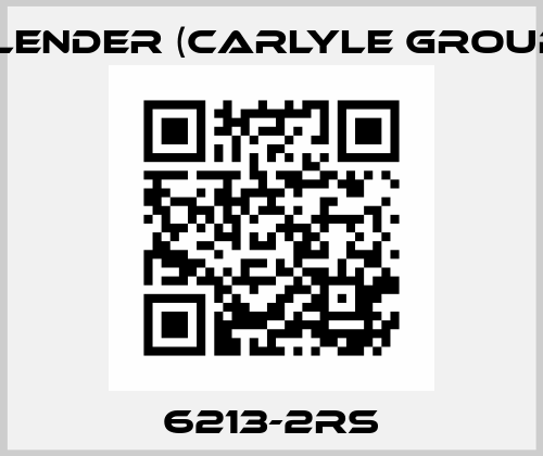 6213-2RS Flender (Carlyle Group)