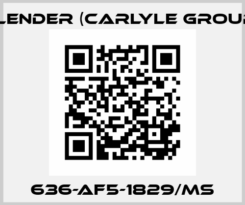 636-AF5-1829/MS Flender (Carlyle Group)