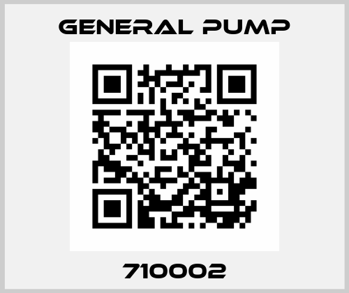 710002 General Pump