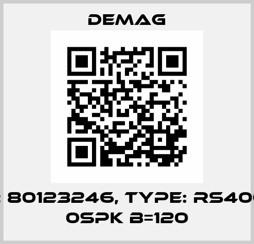 P/N: 80123246, Type: RS400 B1 0SPK B=120 Demag