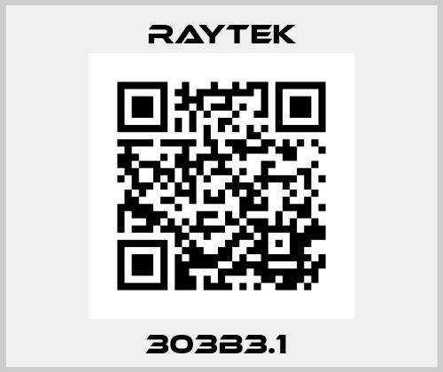 303B3.1  Raytek