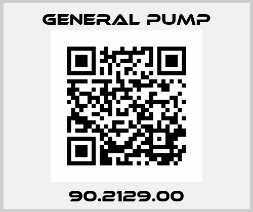 90.2129.00 General Pump