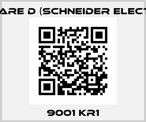 9001 KR1 Square D (Schneider Electric)
