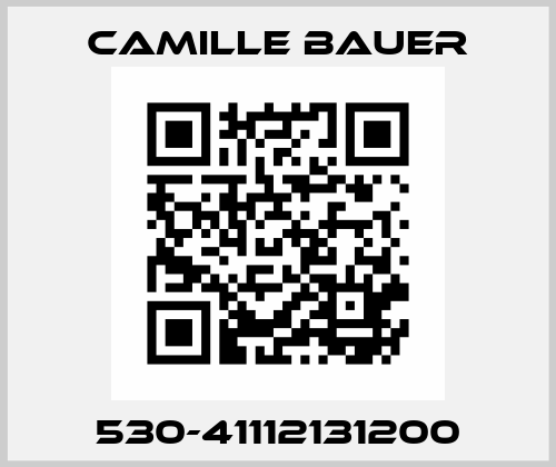 530-41112131200 Camille Bauer