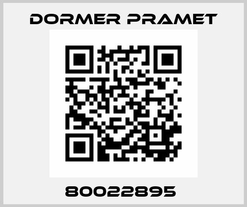 80022895  Dormer Pramet