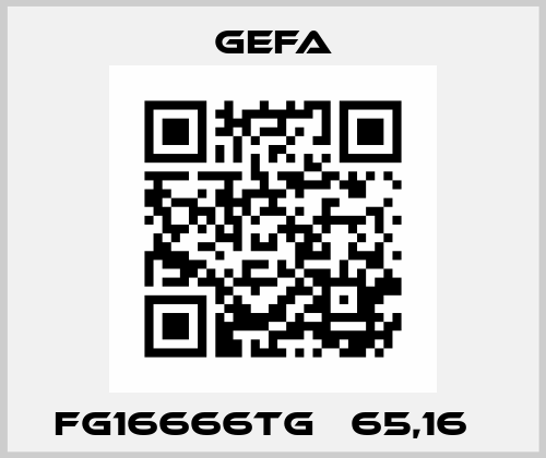 FG16666TG   65,16   Gefa