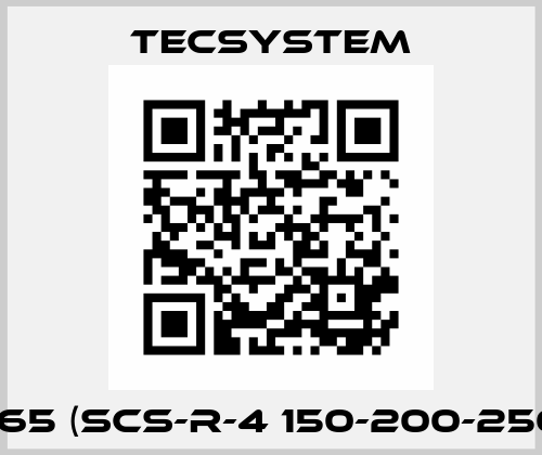 1SC0065 (SCS-R-4 150-200-250-250) Tecsystem