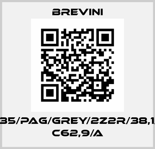 584/7-7/35/PAG/GREY/2Z2R/38,1/4x8,5/B C62,9/A Brevini