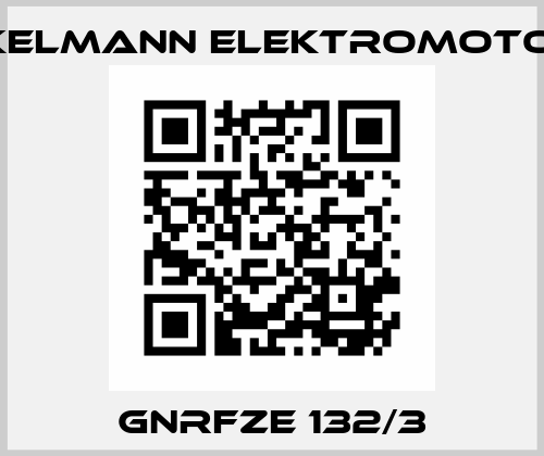GNRFZE 132/3 Winkelmann Elektromotoren