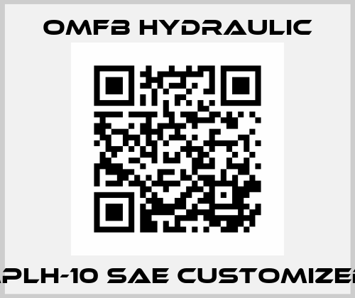 MPLH-10 SAE customized  OMFB Hydraulic
