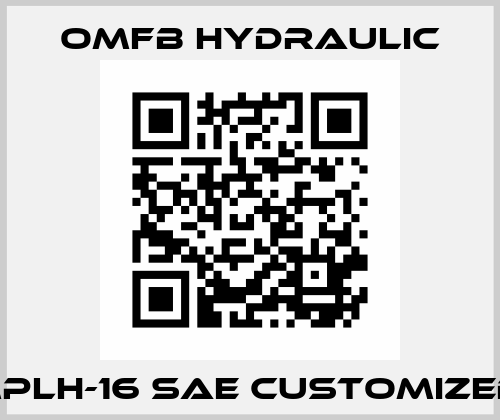 MPLH-16 SAE customized  OMFB Hydraulic