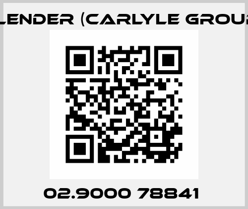 02.9000 78841  Flender (Carlyle Group)