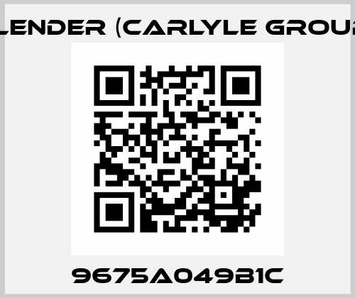 9675A049B1C Flender (Carlyle Group)
