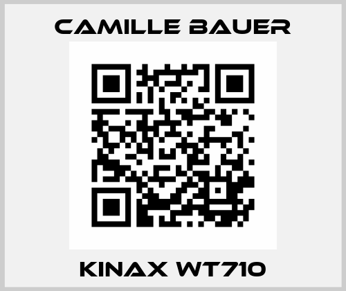 KINAX WT710 Camille Bauer