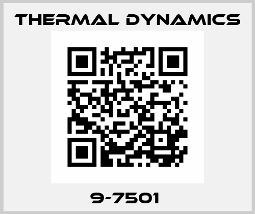 9-7501  Thermal Dynamics