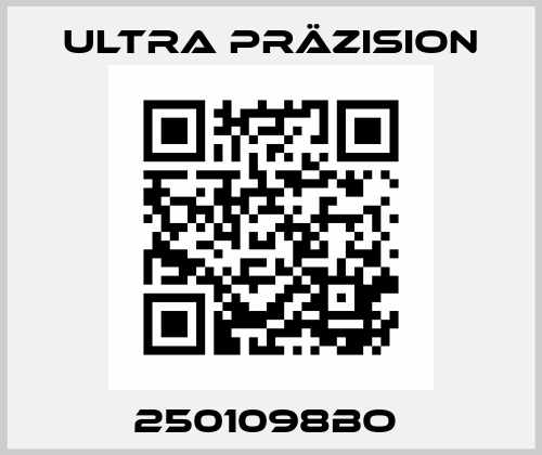 2501098bo  Ultra Präzision