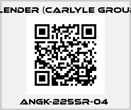 ANGK-225SR-04  Flender (Carlyle Group)