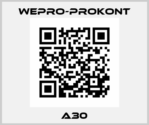 A30 wepro-prokont