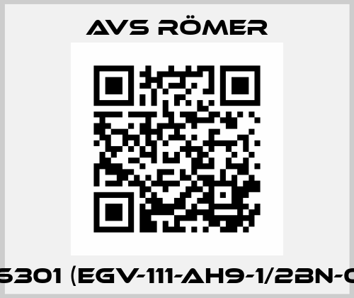 616301 (EGV-111-AH9-1/2BN-00) Avs Römer