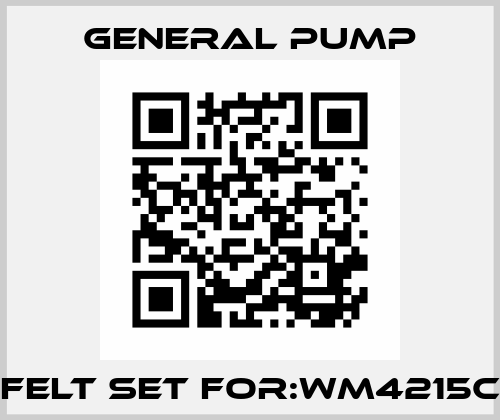 Felt Set For:WM4215C General Pump