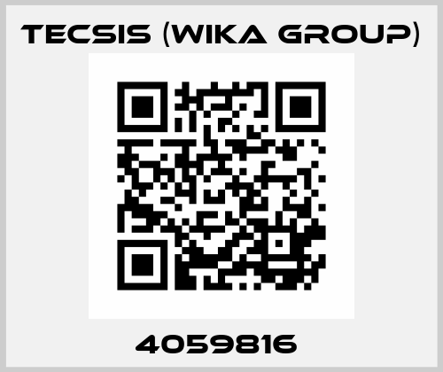 4059816  Tecsis (WIKA Group)