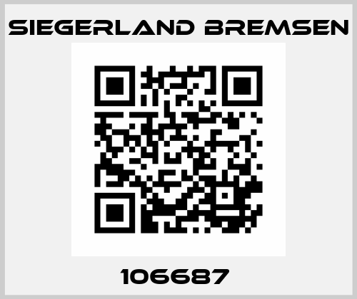 106687  Siegerland Bremsen