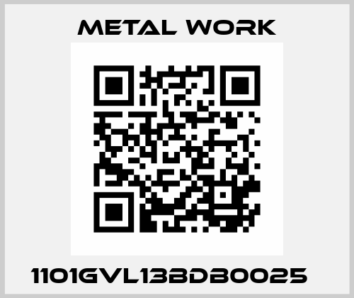 1101GVL13BDB0025   Metal Work