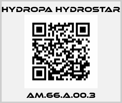 AM.66.A.00.3 Hydropa
