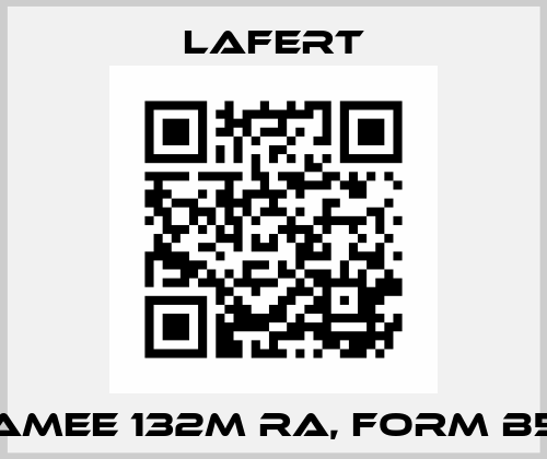 AMEE 132M RA, FORM B5 Lafert