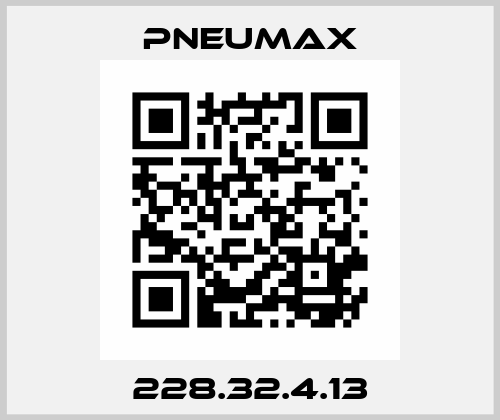 228.32.4.13 Pneumax
