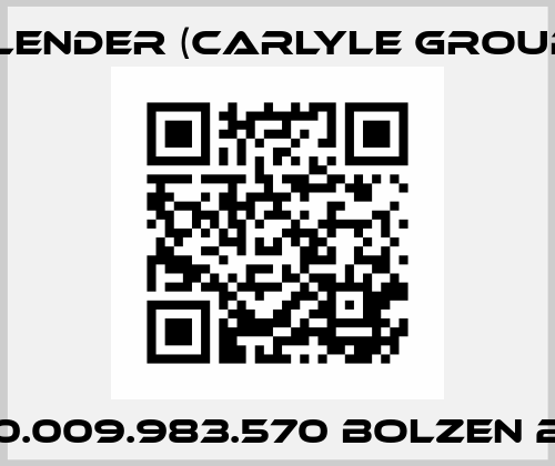 000.009.983.570 Bolzen 252 Flender (Carlyle Group)