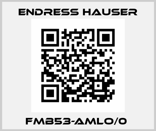 FMB53-AMLO/0  Endress Hauser