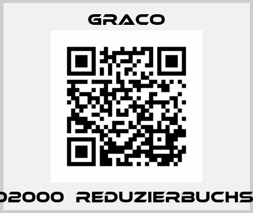 102000  REDUZIERBUCHSE Graco