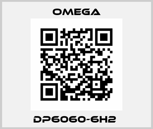 DP6060-6H2  Omega