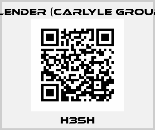 H3SH Flender (Carlyle Group)