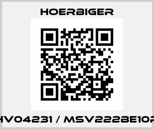 HV04231 / MSV222BE10P Hoerbiger