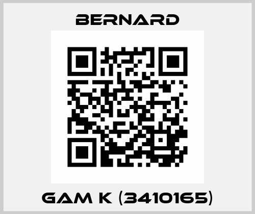 GAM K (3410165) Bernard