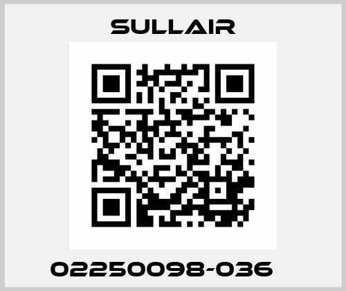 02250098-036    Sullair
