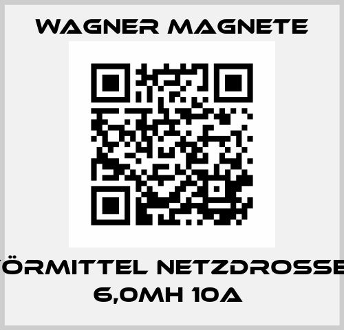 Entstörmittel Netzdrossel 2AC 6,0mH 10A  Wagner Magnete
