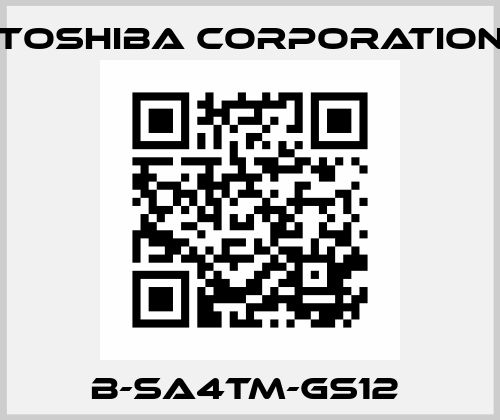 B-SA4TM-GS12  TOSHIBA CORPORATION