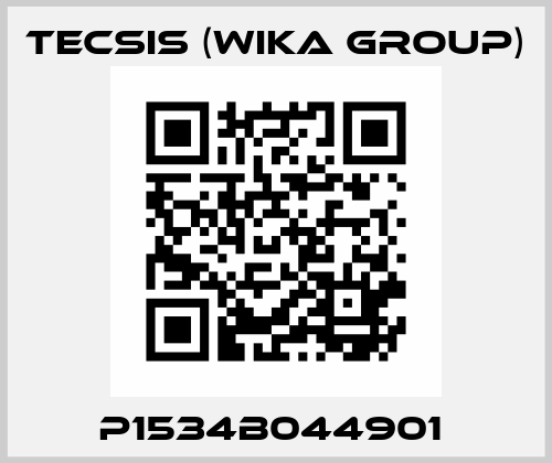 P1534B044901  Tecsis (WIKA Group)