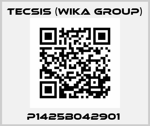 P1425B042901  Tecsis (WIKA Group)