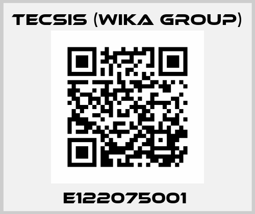 E122075001  Tecsis (WIKA Group)