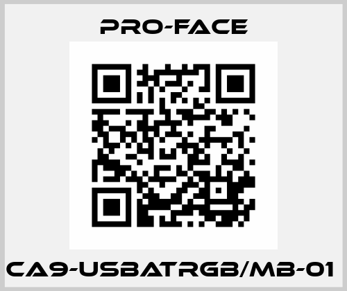 CA9-USBATRGB/MB-01  Pro-Face