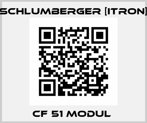 CF 51 MODUL  Schlumberger [Itron]