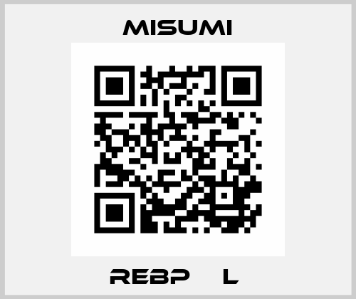 REBP□□L  Misumi