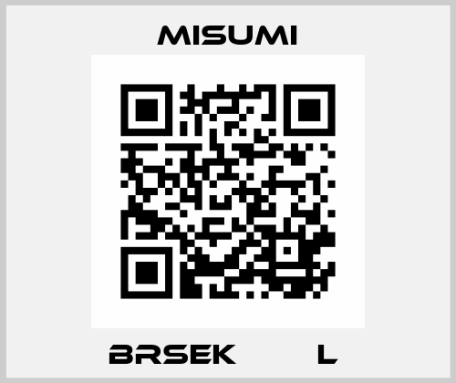 BRSEK□□□□L  Misumi