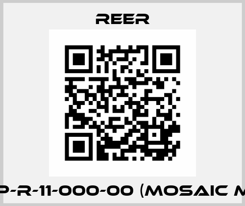 SP-R-11-000-00 (MOSAIC M1) Reer