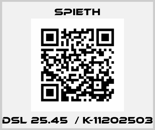 DSL 25.45  / K-11202503 Spieth