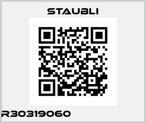R30319060                        Staubli